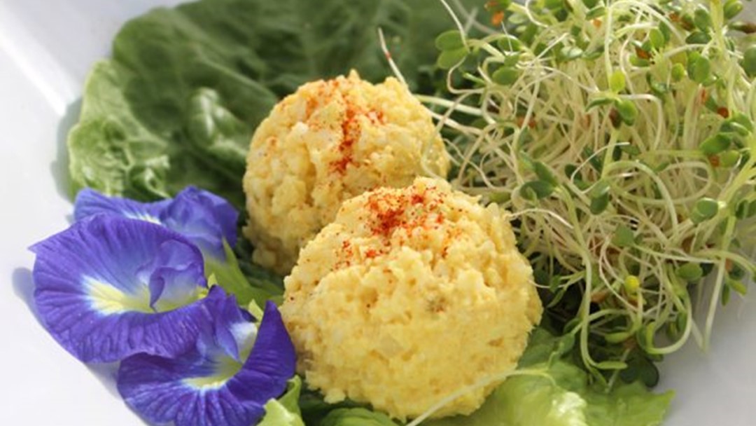 Egg Less “Egg” Salad (Raw Vegan)